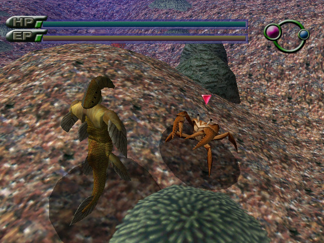 DC セヴンスクロス