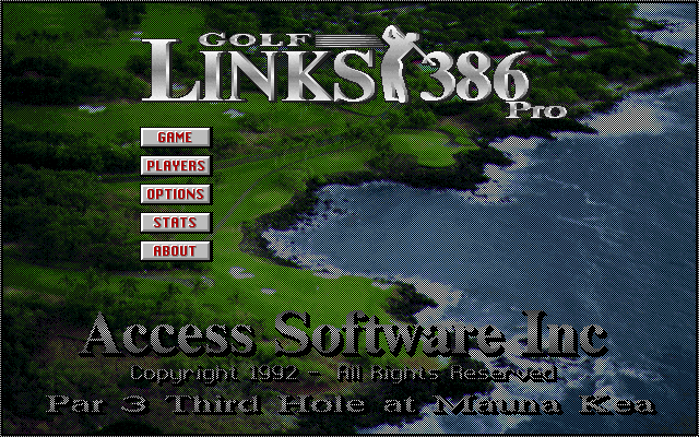 PC98 | GOLF LINKS 386 Pro
