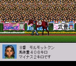 SFC | ダービースタリオン96